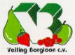 Veiling Borgloon